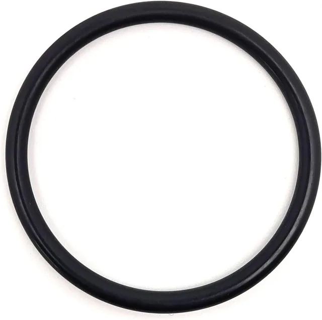 Didiesse Ricambi Guarnizione O-Ring 44mm FR022 Compatibile con Didiesse Frog