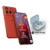 Motorola Edge 60 Neo 8+256GB 6.36" 5G Pant.Poinciana + Moto Buds ITA